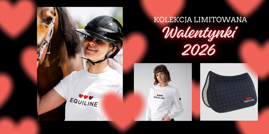 kolekcja walentynkowa baner sklep.png